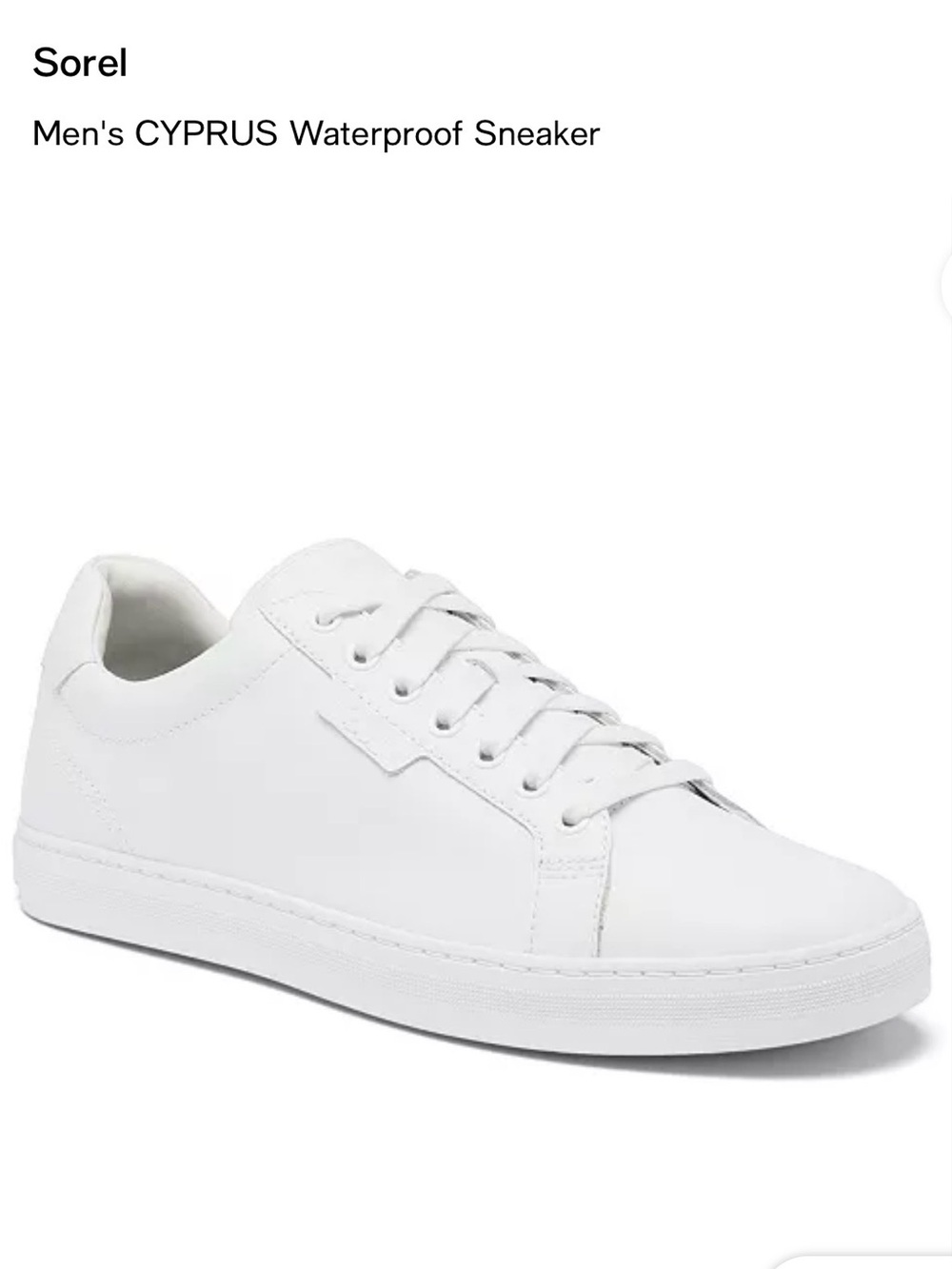 Sorel Men's Cyprus Waterproof Sneaker in White